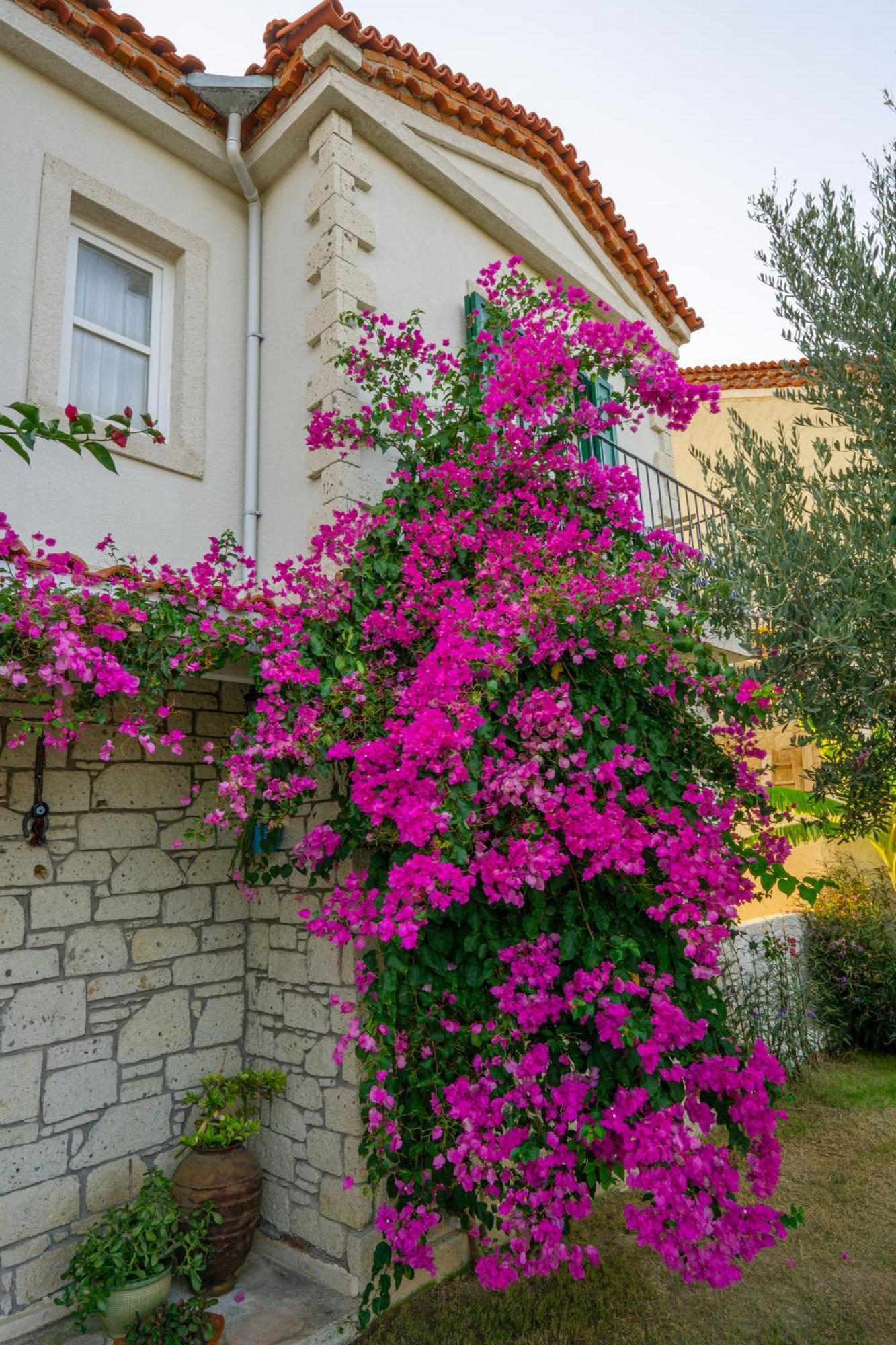 Melekaki Alacati Çeşme Exterior foto